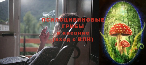 амф Володарск