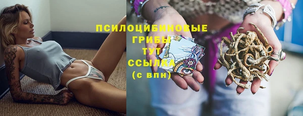 амф Володарск