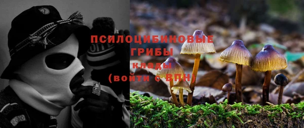 стафф Волосово