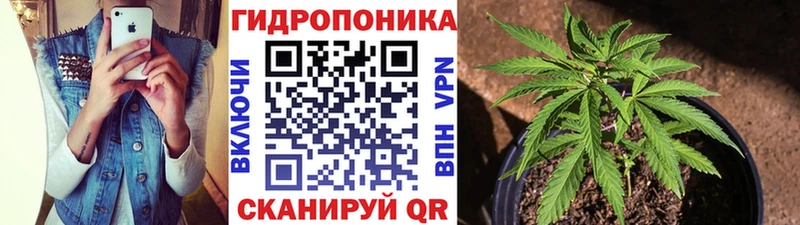 Шишки марихуана THC 21%  где продают   Юрьев-Польский 